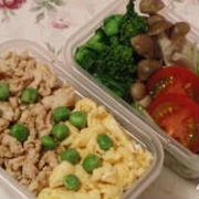 ☆鶏そぼろのお弁当☆