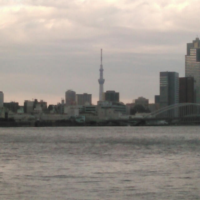 今日は東京マラソンですが