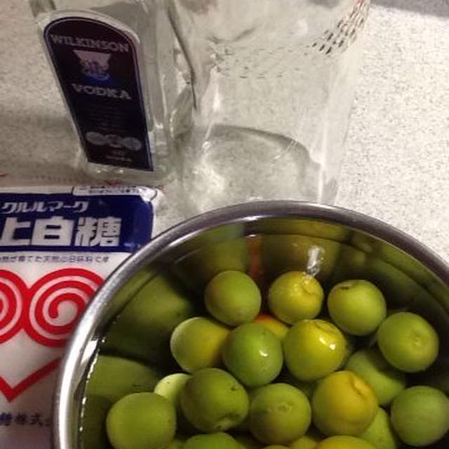 梅シロップ作り始めました、１日目