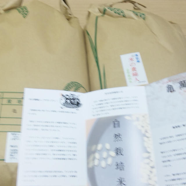 デトックスしてますか？