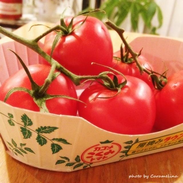 トマト三昧　房摘みラウンドトマト