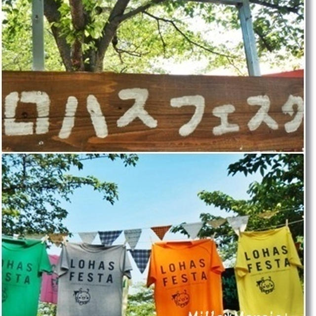 ロハスフェスタに行ってきました♪