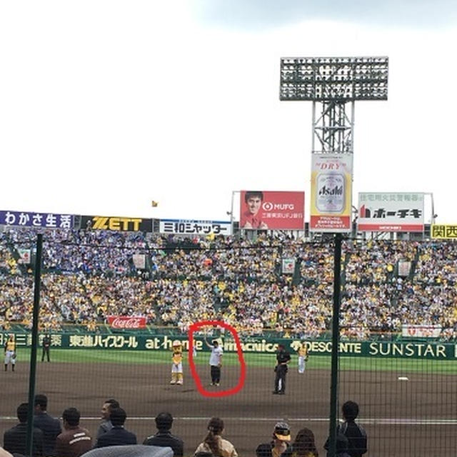 甲子園球場