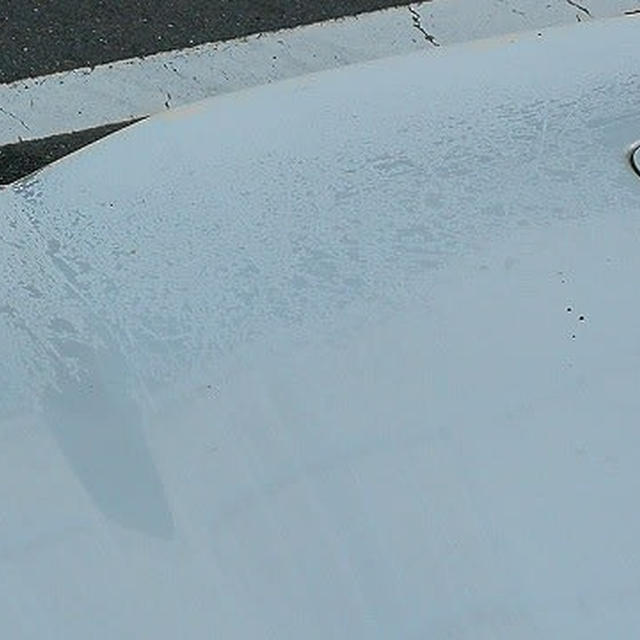 車に霜が降りていました！ / カーナビデータ更新 / 残念なお知らせ