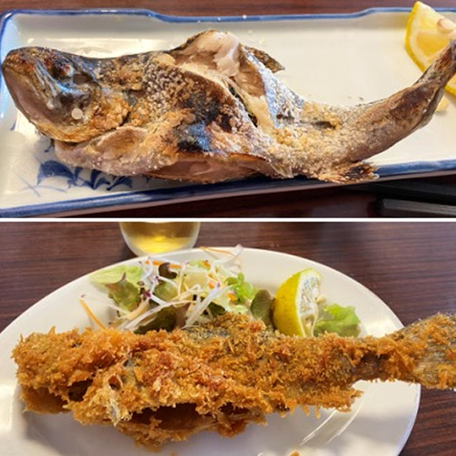 養老渓谷でマス釣りをしてマスの塩焼き・フライ♪