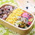 【毎日のお弁当】11/6～11/10
