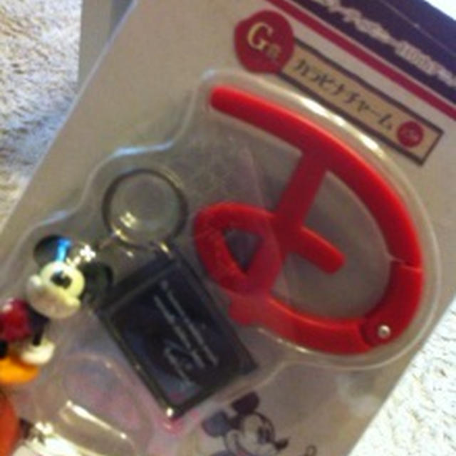 ディズニーの使い道