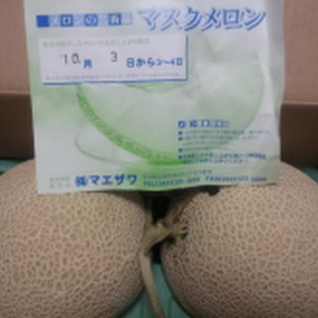 メロン