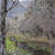 箱根 -2