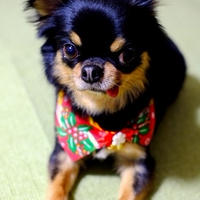Merry　Xmas♪