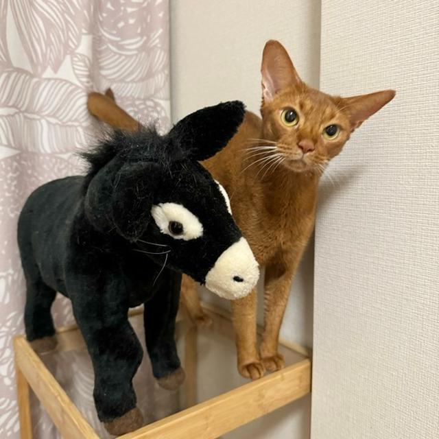 ひめちゃんの恋人？