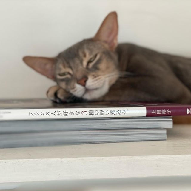 久々のbスポット治療と、夜ごはんのメニューに悩み中