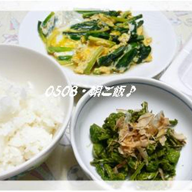 ０５０８☆朝ご飯♪