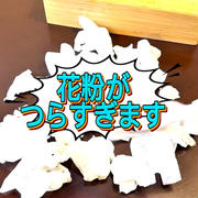 花粉症歴24年です！！お味噌汁が1番です！！