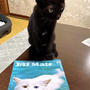 猫は泳げない振りをしてるに違いない