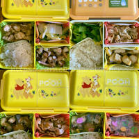 アトピーのお弁当