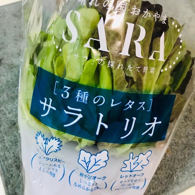 サラダの葉っぱが３種類、だから「サラトリオ」