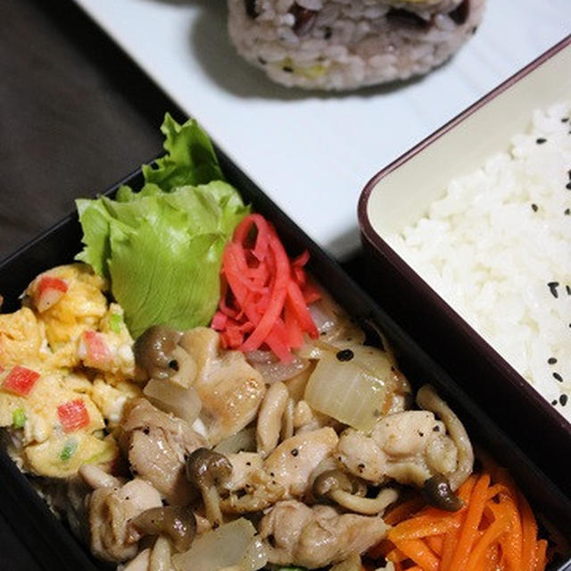 9月11日　　鶏肉の スパイシー炒め弁当