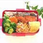カレー粉はビューティースパイス♡カレー味のブロッコリー弁当