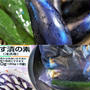 ■菜園発【簡単5分で漬物！！農協さんの茄子漬けの素使いで滅茶美味しい漬物が＾＾】