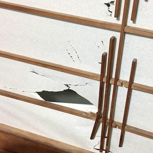 イケてないチョコミント〜カントリーマアムの暴走〜