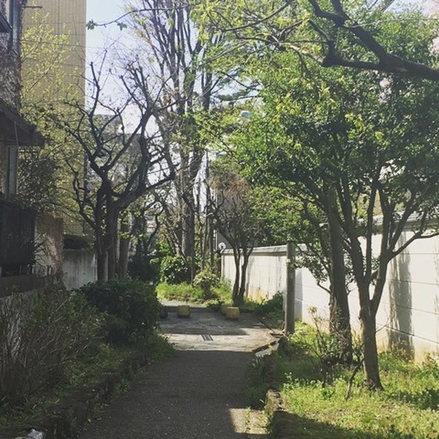 小道。