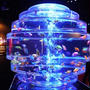 夏のデートにおすすめ☆ナイトアクアリウム