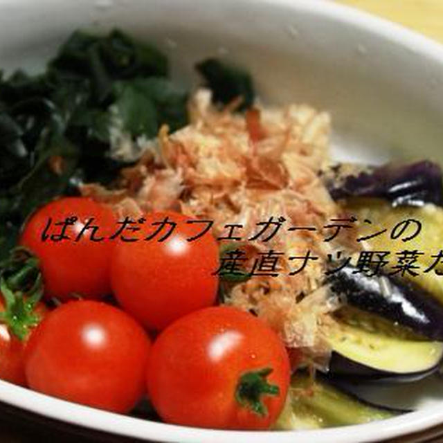 ナツ野菜の収穫と、ある日のひよこ豆カレー
