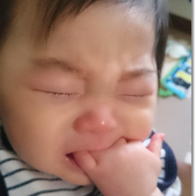 離乳食の上げ方の難しさ・・・と王子のマイブーム