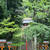 売布神社　　宝塚にある縁結びの神社　中山寺からてくてく歩きました　面白い張り紙