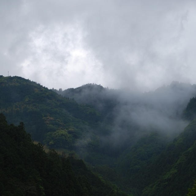 高知出張　