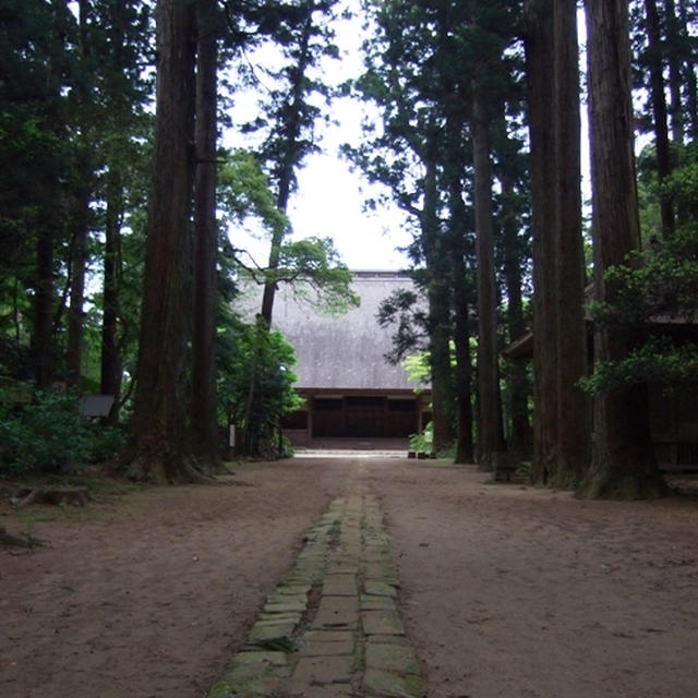 静寂の美・癒しスポット　千葉県匝瑳市　『飯高寺（飯高壇林跡）』にドライブ　　＆　おいしいもの
