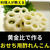 黄金比で作るおせち用酢れんこん
