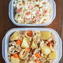 週はじめに準備した作り置きと、それを使った姉さん弁当2つ。