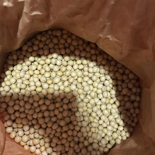 寒いときにはお味噌作り！
