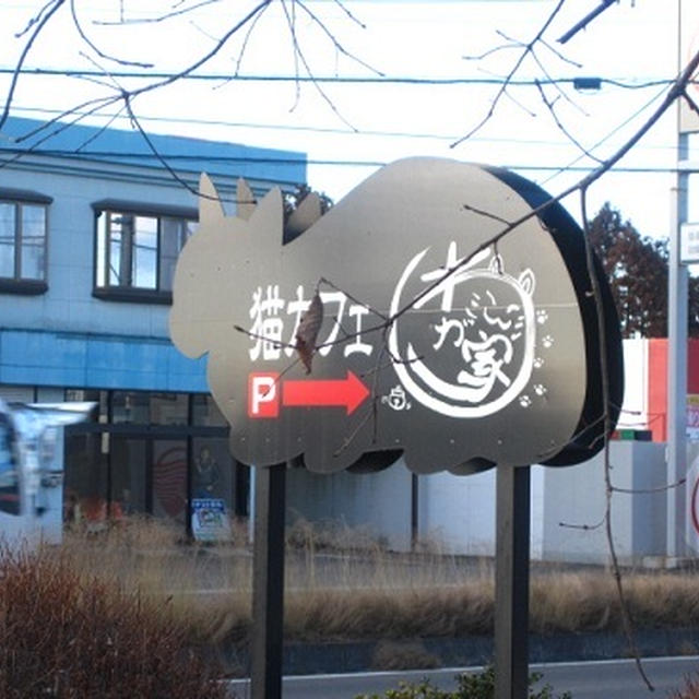 猫カフェ　わが家☆