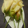 オクラの花