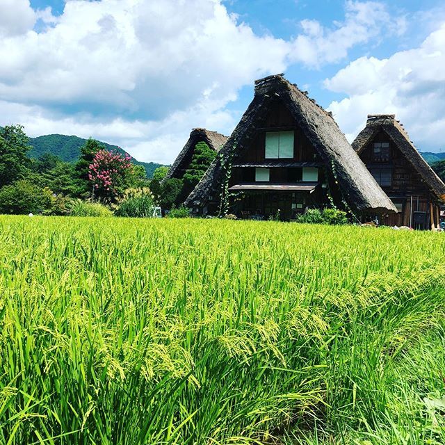【Instagram】ずっと行きたかった白川郷。ついに！#白川郷 #shirakawago