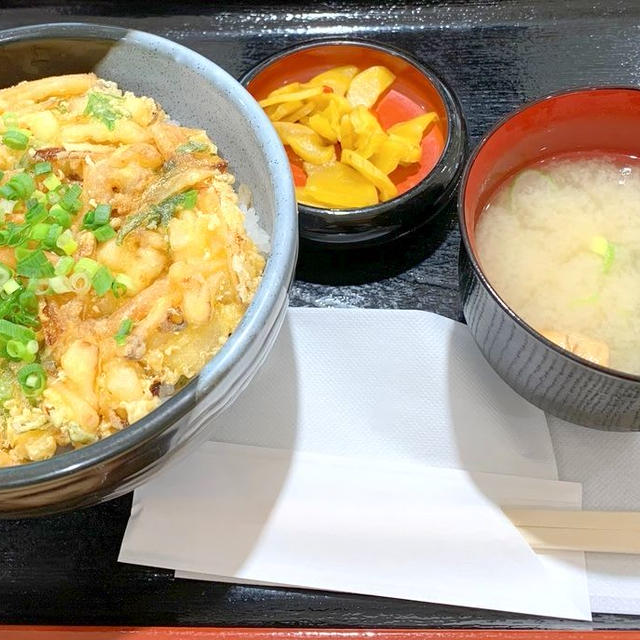 関越自動車道　越後川口SA上り　かき揚げ丼とあっさり醤油ラーメン
