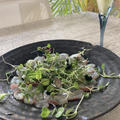 おもてなし料理の前菜にうまみが濃厚鯛の昆布締めカルパッチョ
