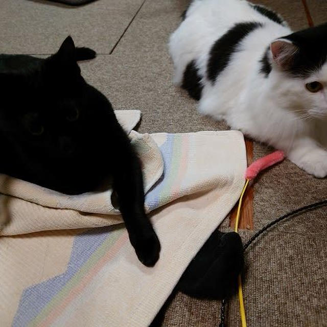 瞳にフォーカス！