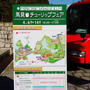 奈良までお出かけ～馬見丘陵公園チューリップフェア～