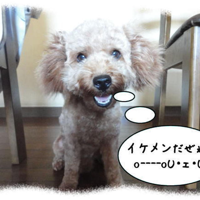 オイラ、イケメンだぜぇ～～！
