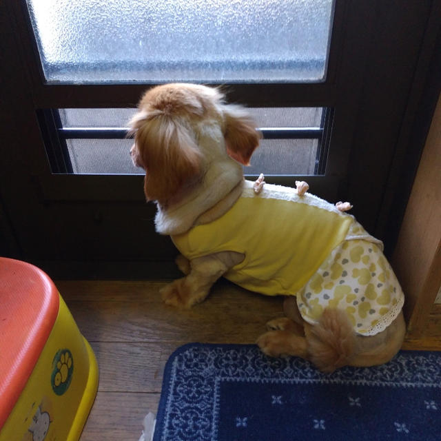 憎き帯状疱疹。