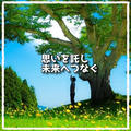 蒲公英
