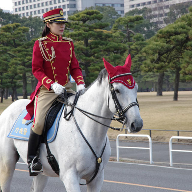 新年一般参賀と明治神宮初詣
