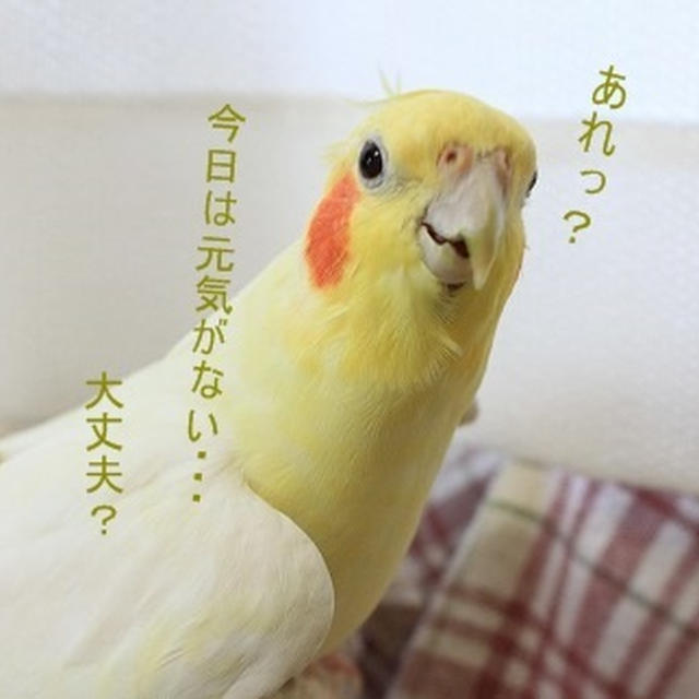きららのきもち　　Episode．9
