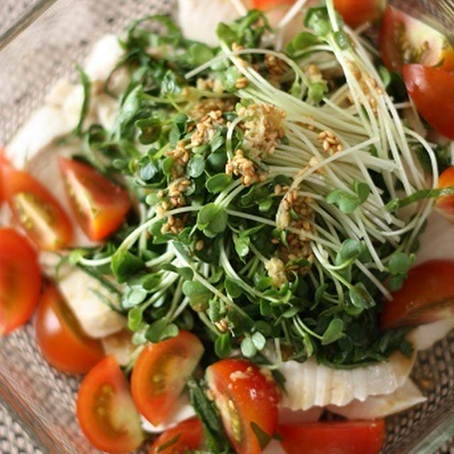 しっとり茹で鶏の香味サラダ