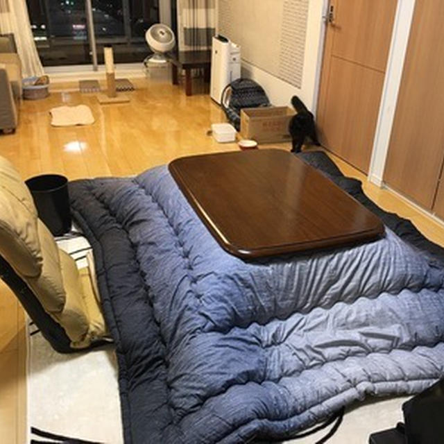 やっぱりコタツが好きやー！！