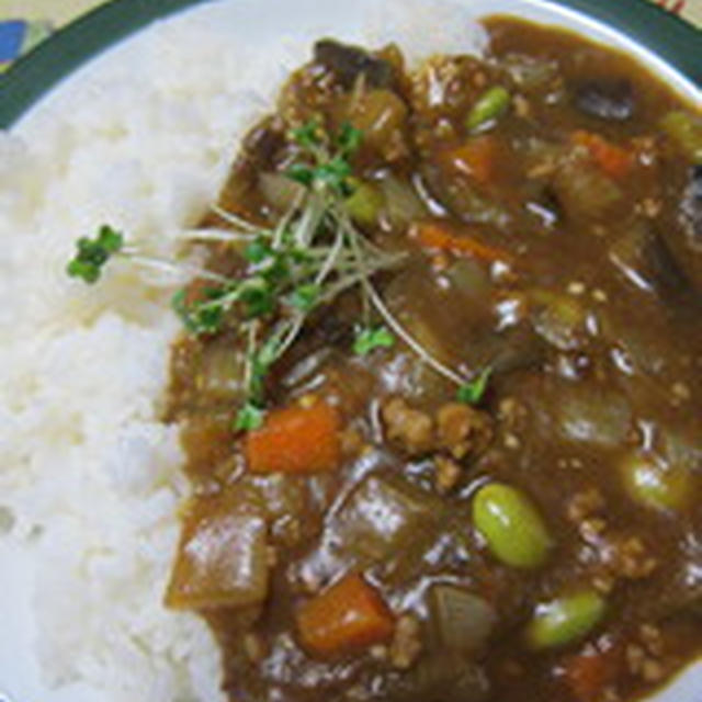 「豚ひき肉と茄子のキーマ風カレー」